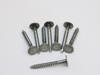 Roofing-Siding Nails